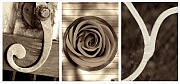 Wall_Art_Alphabet_Photography_Art_ 1132
